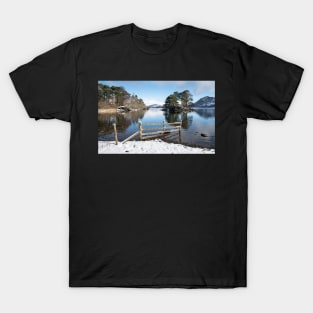 Snow on Otter Island T-Shirt